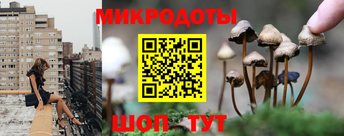 Усть-Илимск  Псилоцибиновые грибы мухоморы  Вход с VPN 